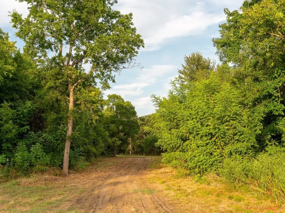 COUNTY ROAD 3660 Ladonia, TX 75449