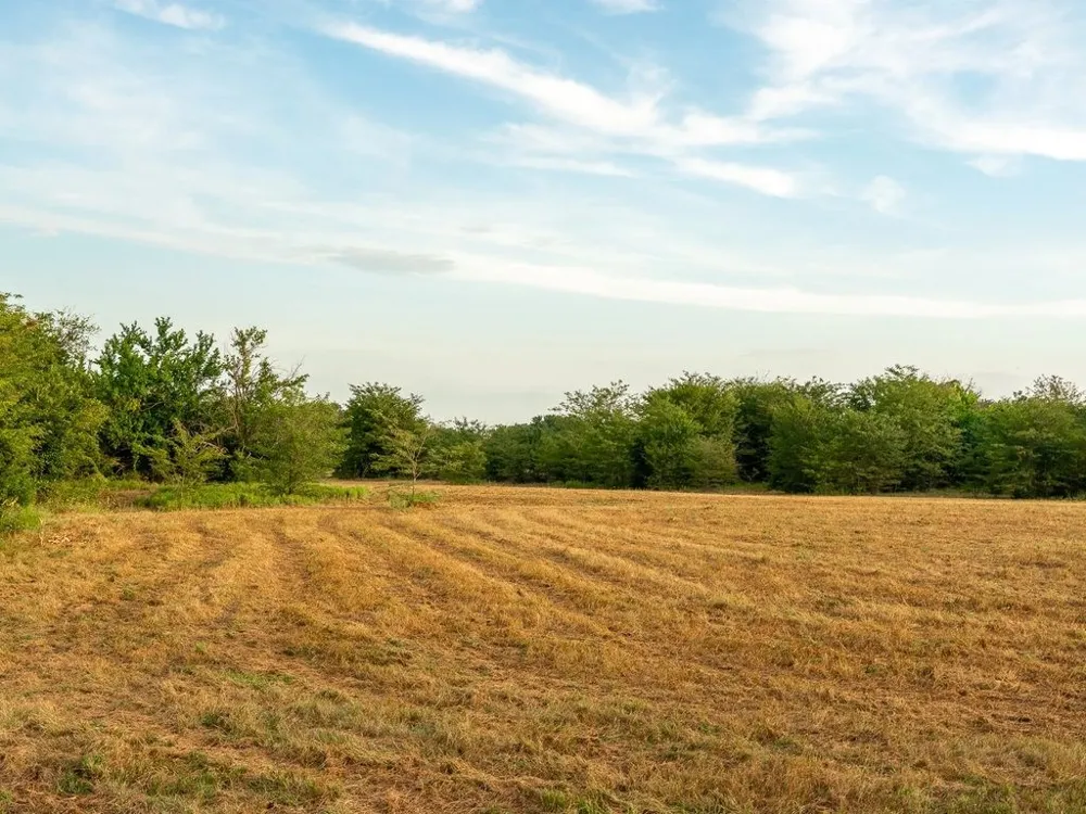 COUNTY ROAD 3660 Ladonia, TX 75449