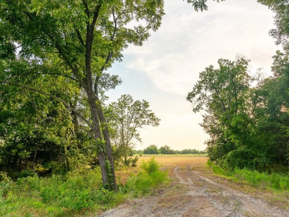 COUNTY ROAD 3660 Ladonia, TX 75449