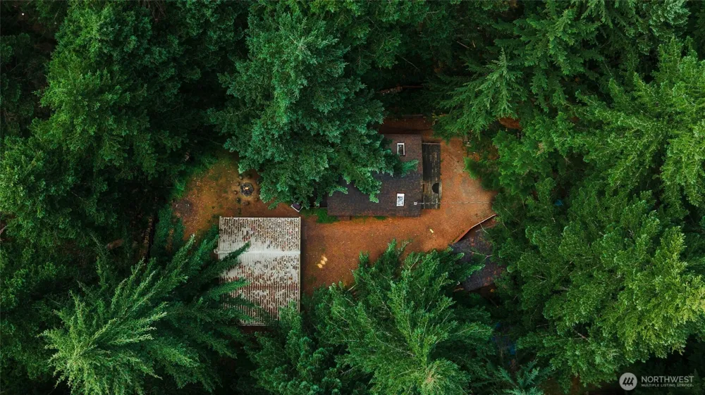 56118 343rd Avenue Ct E Ashford, WA 98304