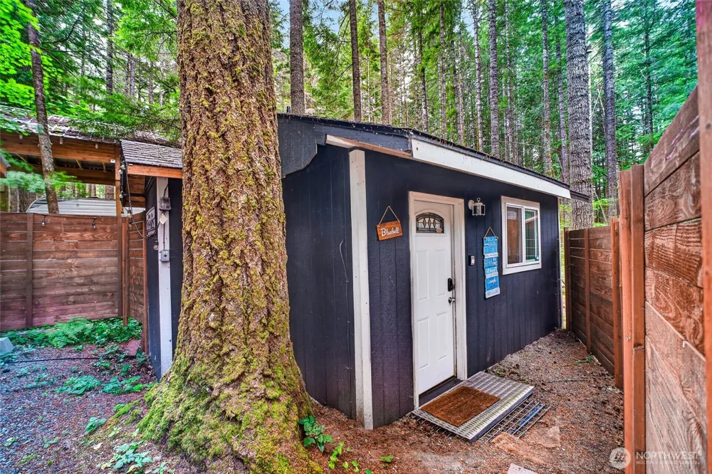 56118 343rd Avenue Ct E Ashford, WA 98304