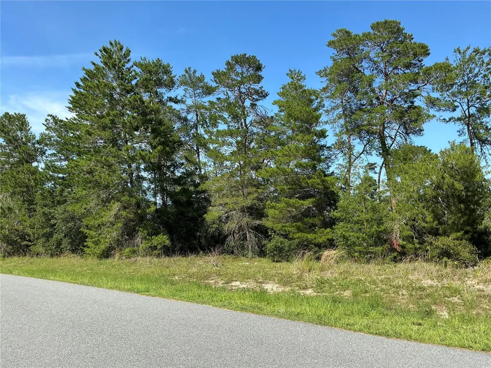 TBD SW 35TH AVENUE ROAD ocala, FL 34473