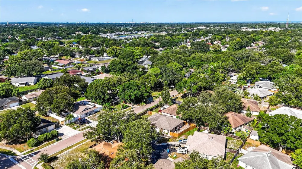 3610 SAMMY COURT Palm Harbor, FL 34684