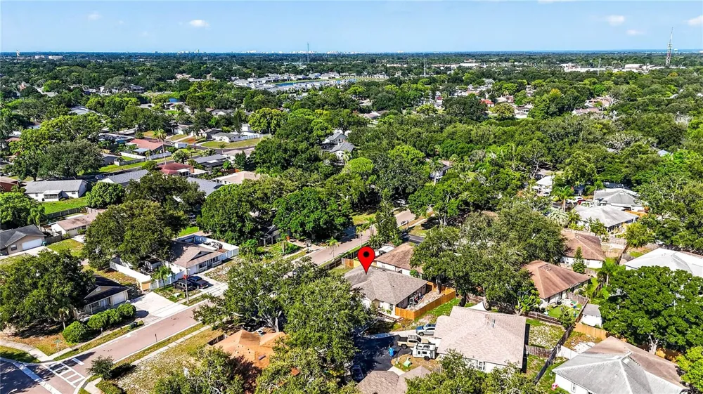 3610 SAMMY COURT Palm Harbor, FL 34684