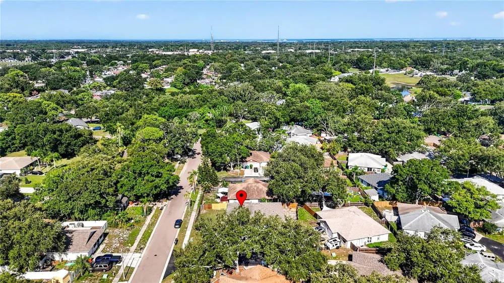 3610 SAMMY COURT Palm Harbor, FL 34684
