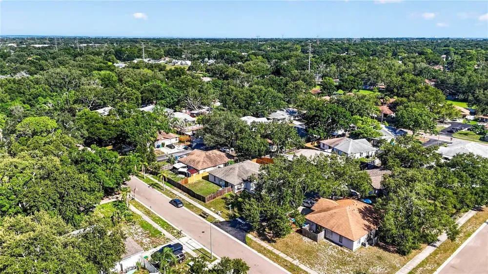 3610 SAMMY COURT Palm Harbor, FL 34684