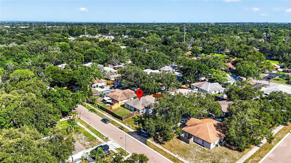 3610 SAMMY COURT Palm Harbor, FL 34684