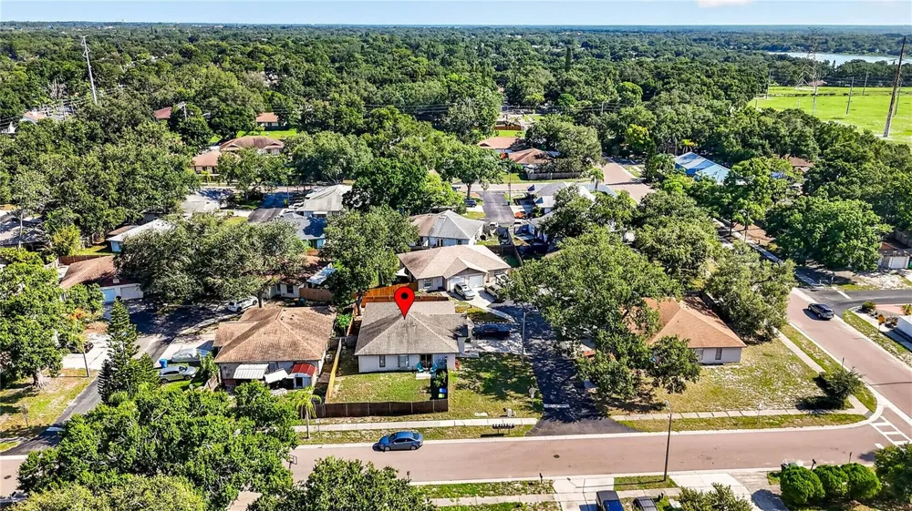 3610 SAMMY COURT Palm Harbor, FL 34684