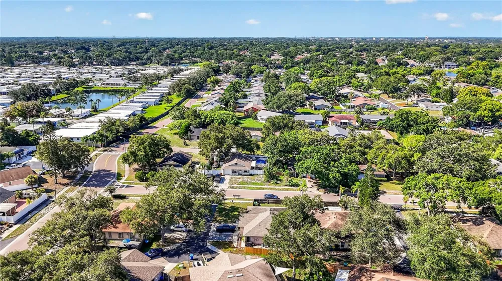 3610 SAMMY COURT Palm Harbor, FL 34684
