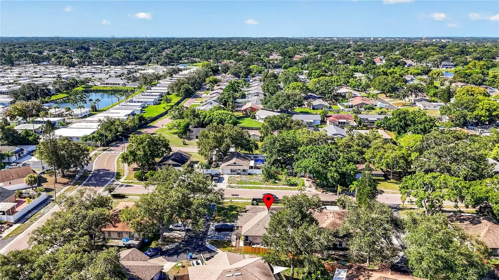 3610 SAMMY COURT Palm Harbor, FL 34684