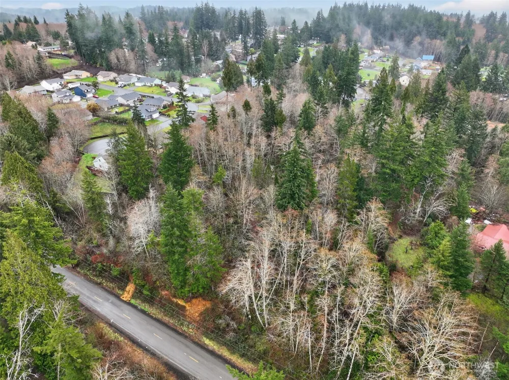 0 xxx Garden Hill Rd Elma, WA 98541