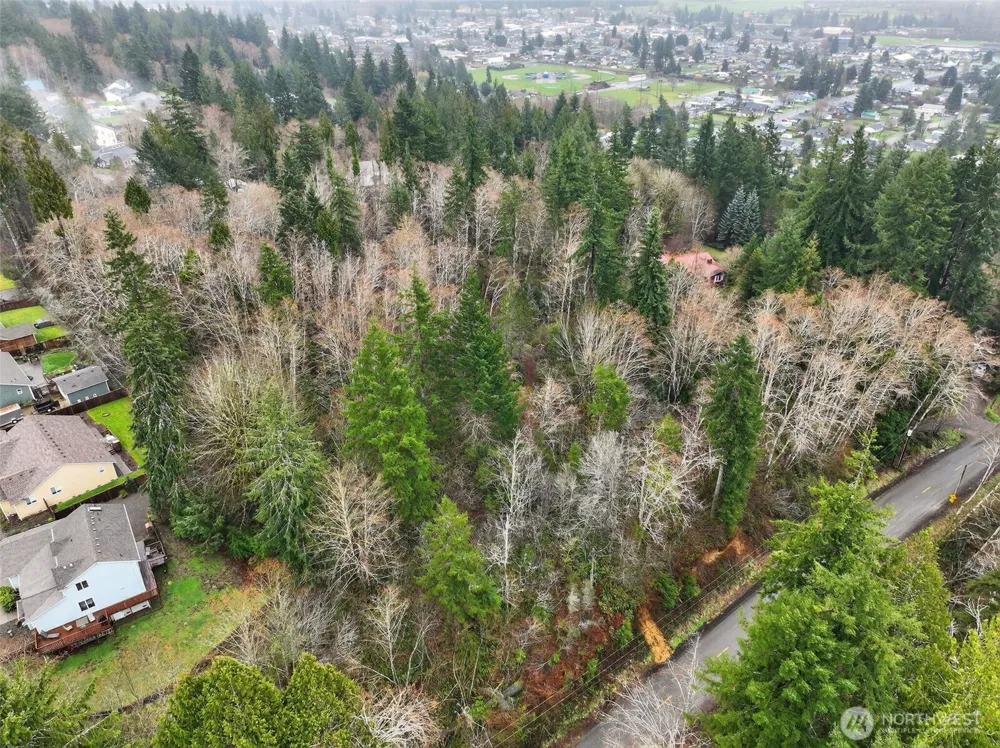 0 xxx Garden Hill Rd Elma, WA 98541