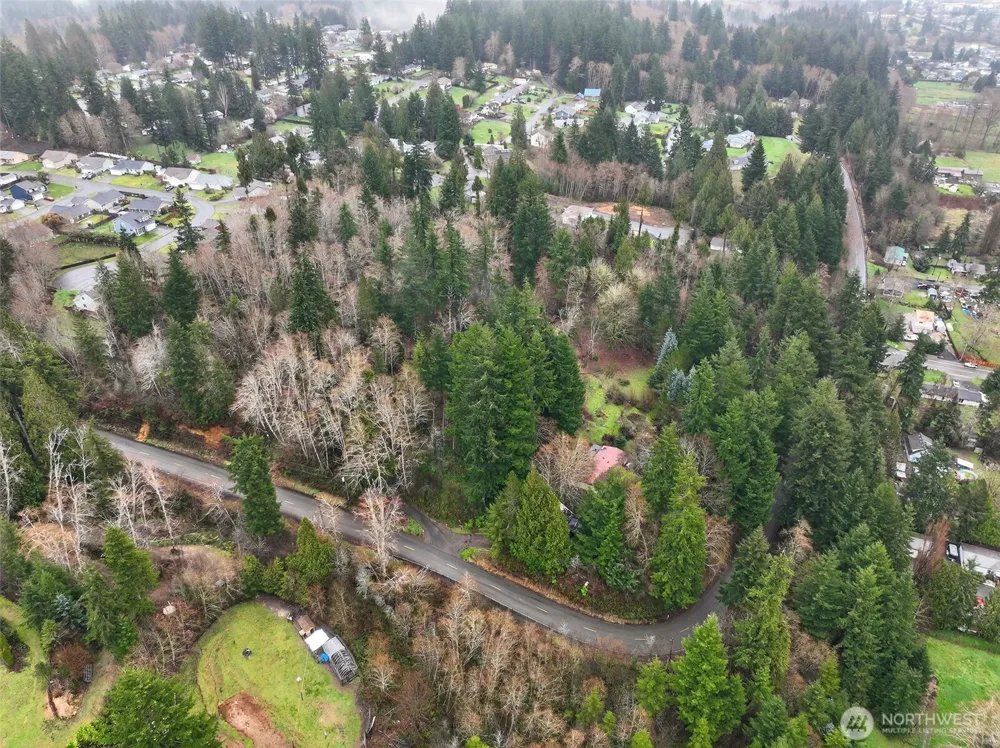 0 xxx Garden Hill Rd Elma, WA 98541