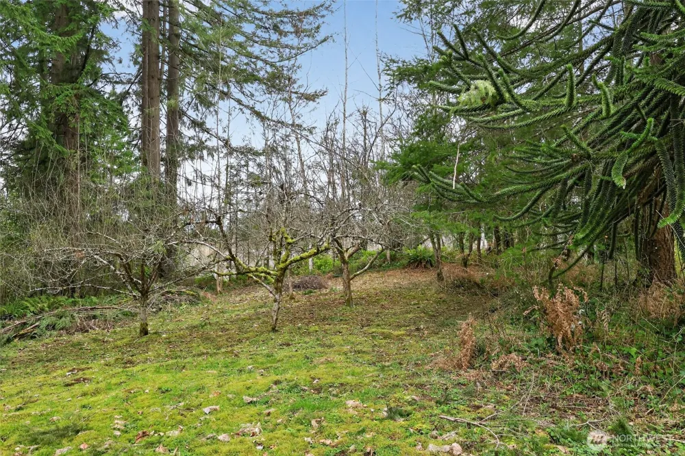 0 xxx Garden Hill Rd Elma, WA 98541