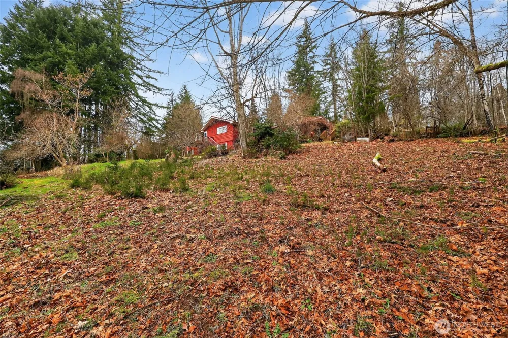 0 xxx Garden Hill Rd Elma, WA 98541