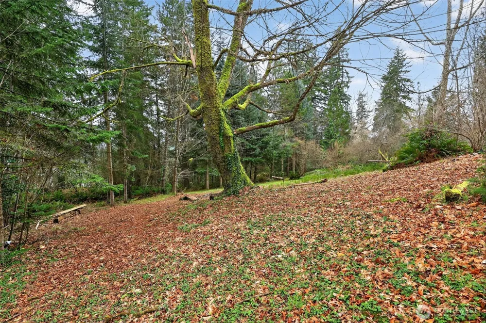 0 xxx Garden Hill Rd Elma, WA 98541