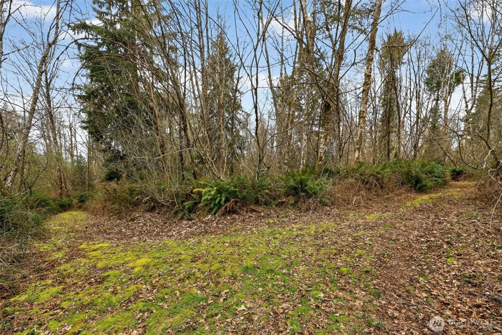 0 xxx Garden Hill Rd Elma, WA 98541