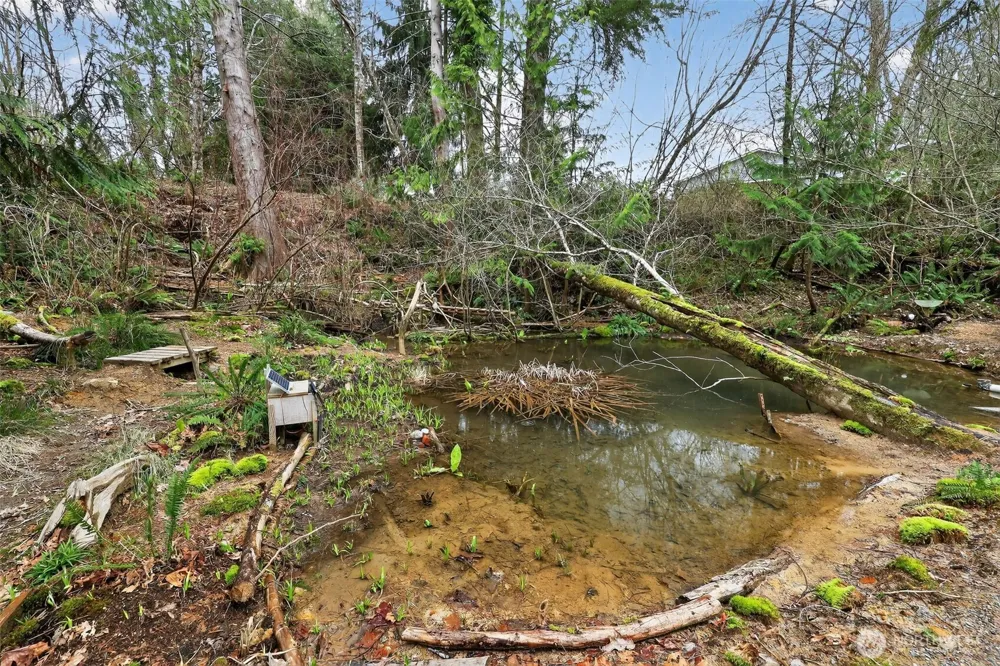 0 xxx Garden Hill Rd Elma, WA 98541