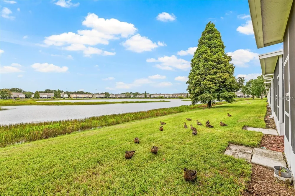 4879 POND RIDGE DRIVE Riverview, FL 33578