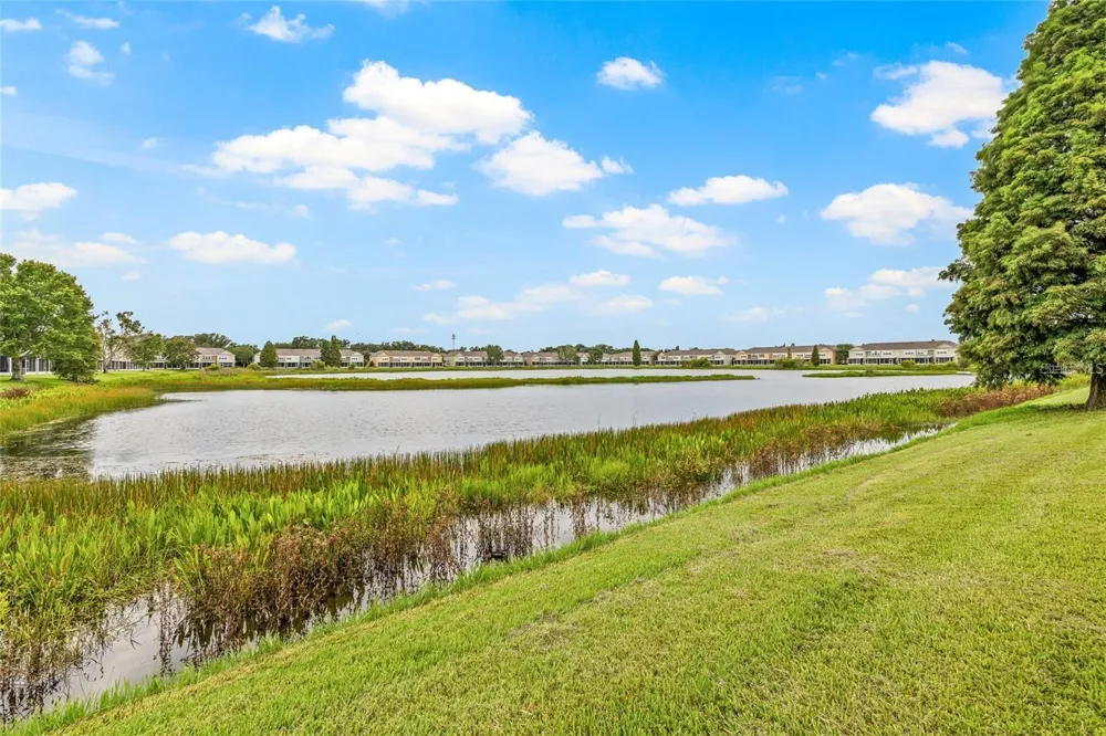 4879 POND RIDGE DRIVE Riverview, FL 33578