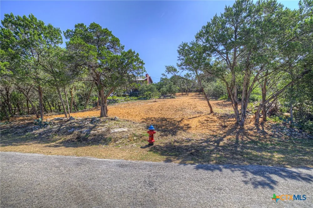 1919 Lakeshore Drive Canyon Lake, TX 78133