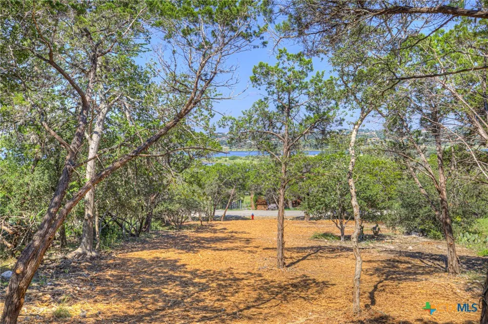1919 Lakeshore Drive Canyon Lake, TX 78133