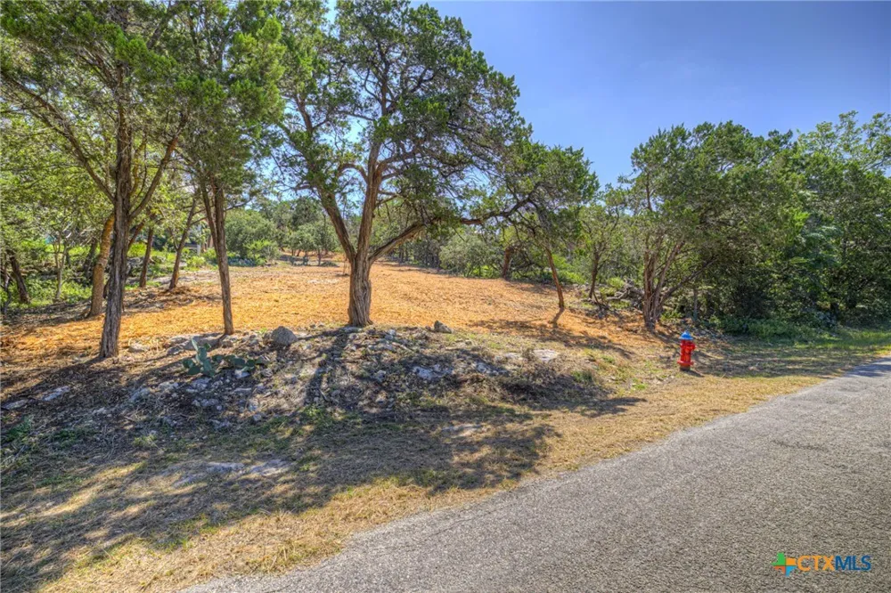1919 Lakeshore Drive Canyon Lake, TX 78133