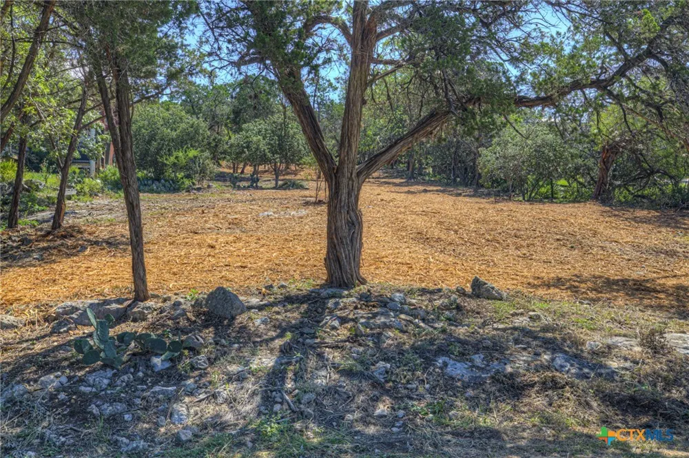 1919 Lakeshore Drive Canyon Lake, TX 78133