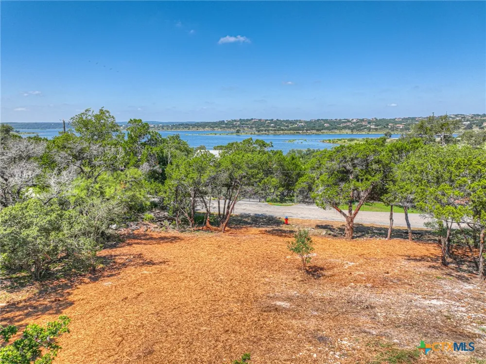 1919 Lakeshore Drive Canyon Lake, TX 78133