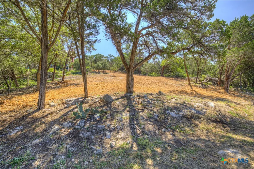 1919 Lakeshore Drive Canyon Lake, TX 78133