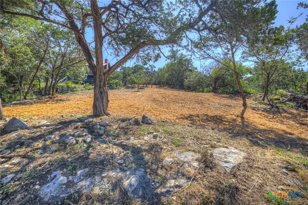 1919 Lakeshore Drive Canyon Lake, TX 78133