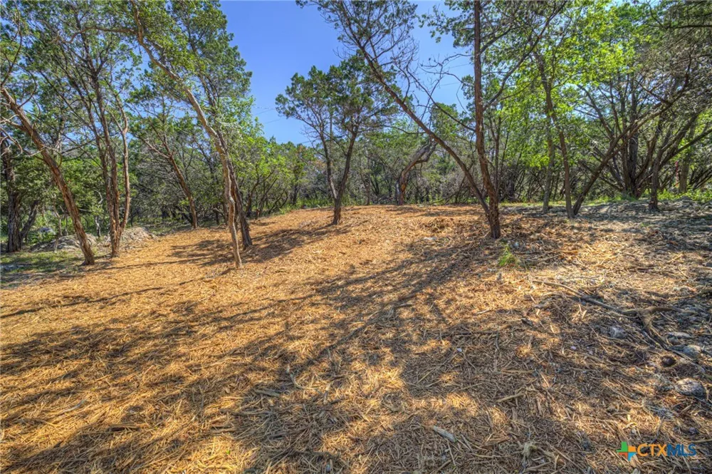 1919 Lakeshore Drive Canyon Lake, TX 78133