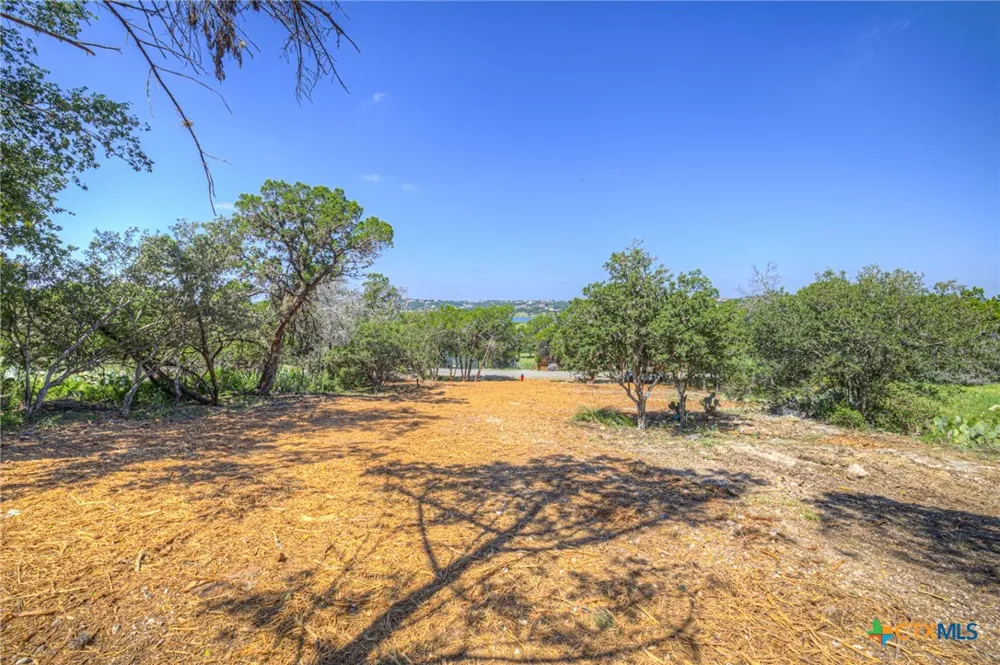 1919 Lakeshore Drive Canyon Lake, TX 78133