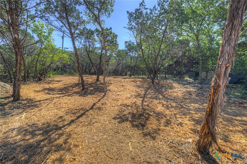 1919 Lakeshore Drive Canyon Lake, TX 78133