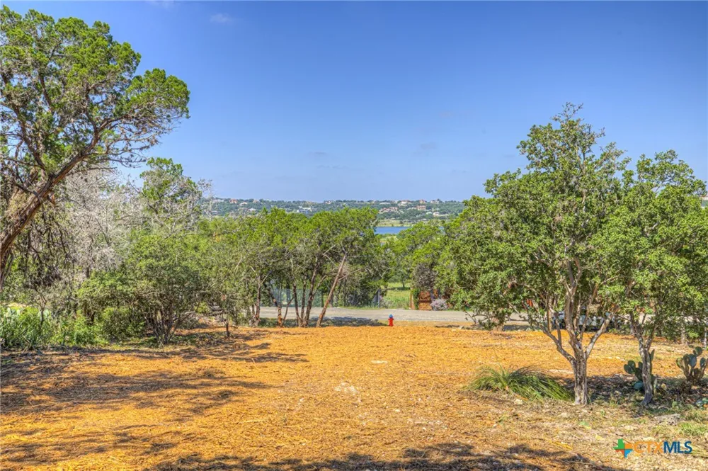 1919 Lakeshore Drive Canyon Lake, TX 78133