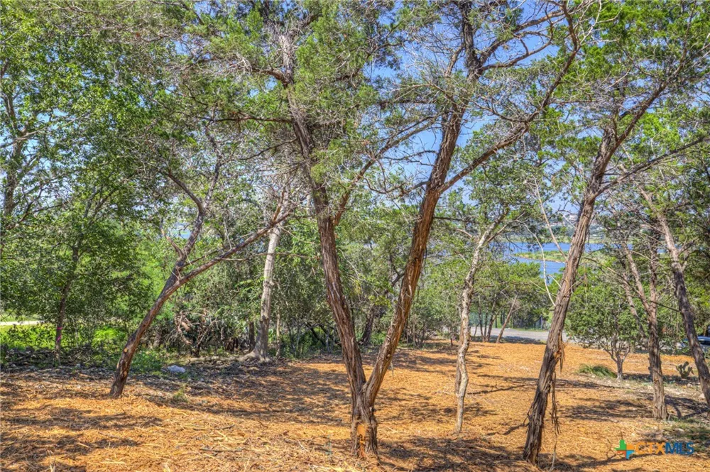 1919 Lakeshore Drive Canyon Lake, TX 78133