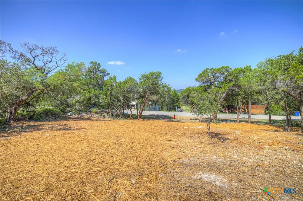 1919 Lakeshore Drive Canyon Lake, TX 78133