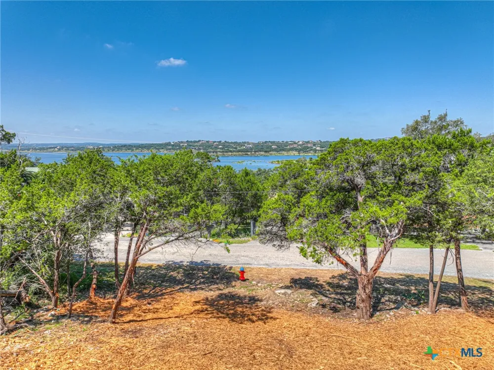 1919 Lakeshore Drive Canyon Lake, TX 78133