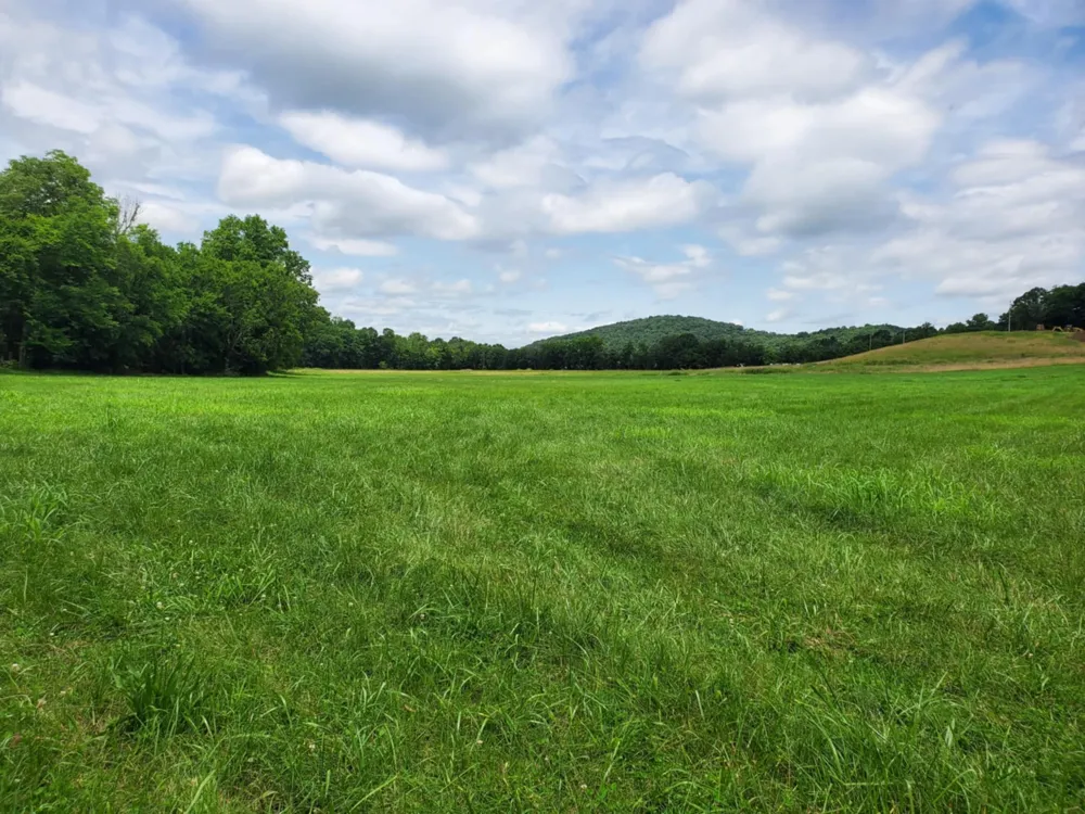 0 Plunkett Creek Rd Gordonsville, TN 38563