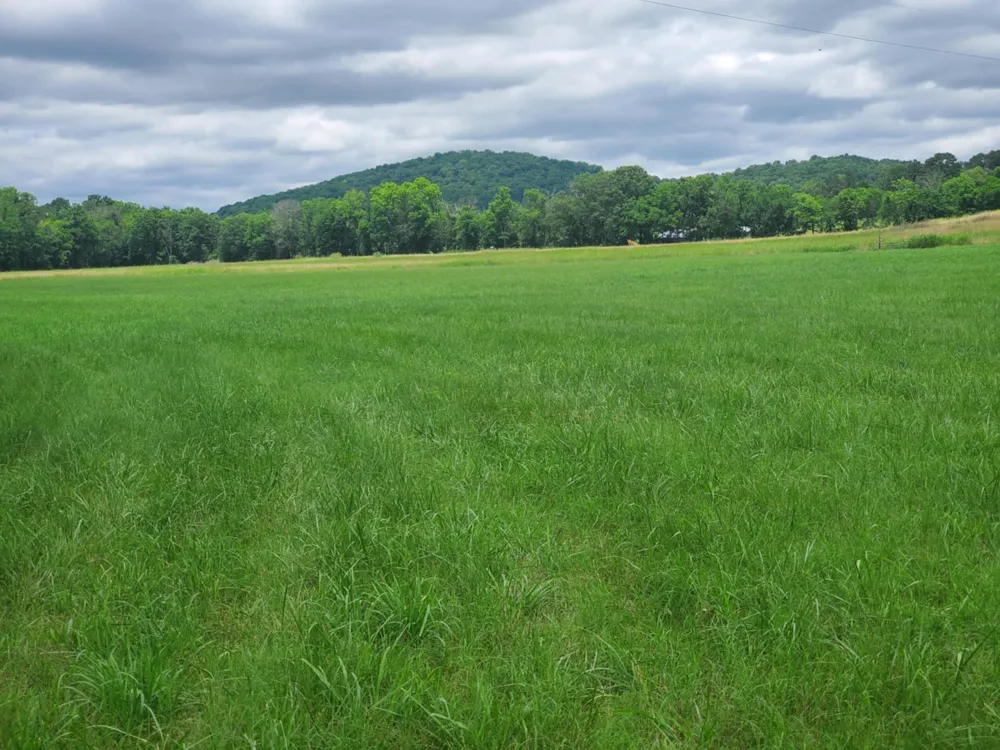 0 Plunkett Creek Rd Gordonsville, TN 38563