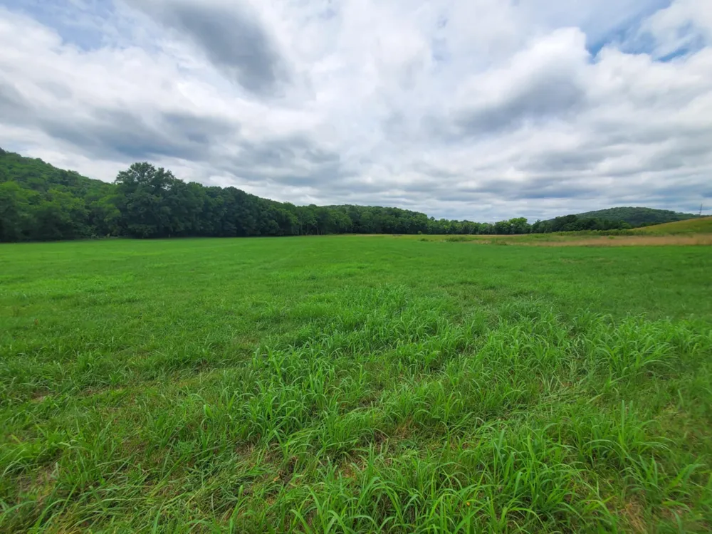 0 Plunkett Creek Rd Gordonsville, TN 38563