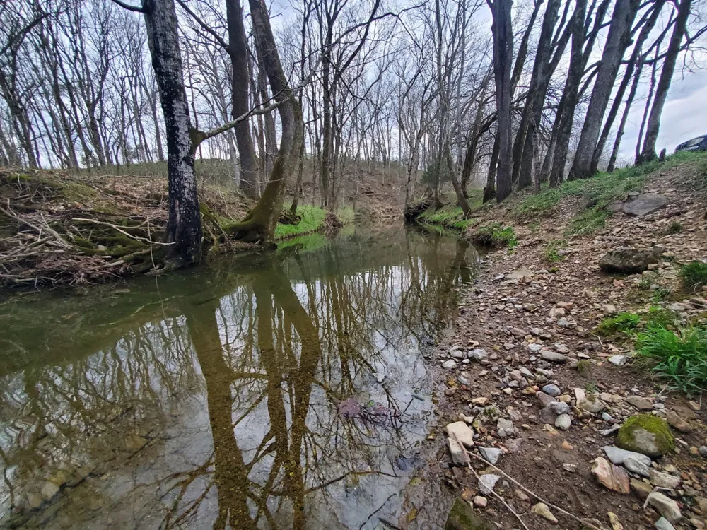 0 Plunkett Creek Rd Gordonsville, TN 38563