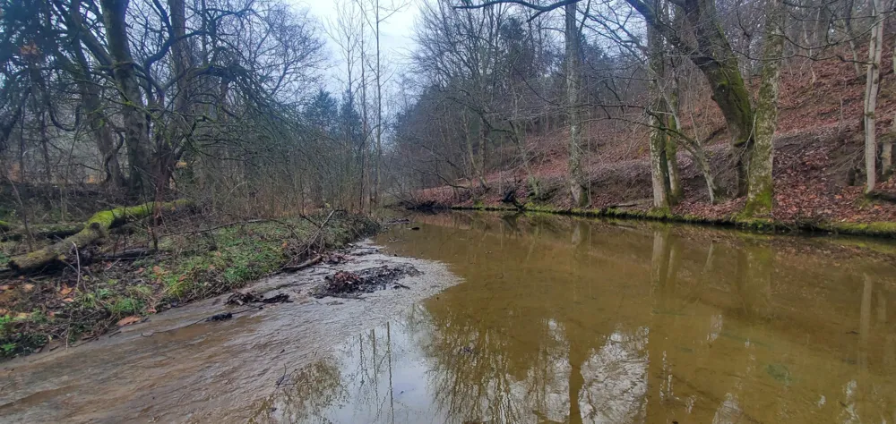 0 Plunkett Creek Rd Gordonsville, TN 38563