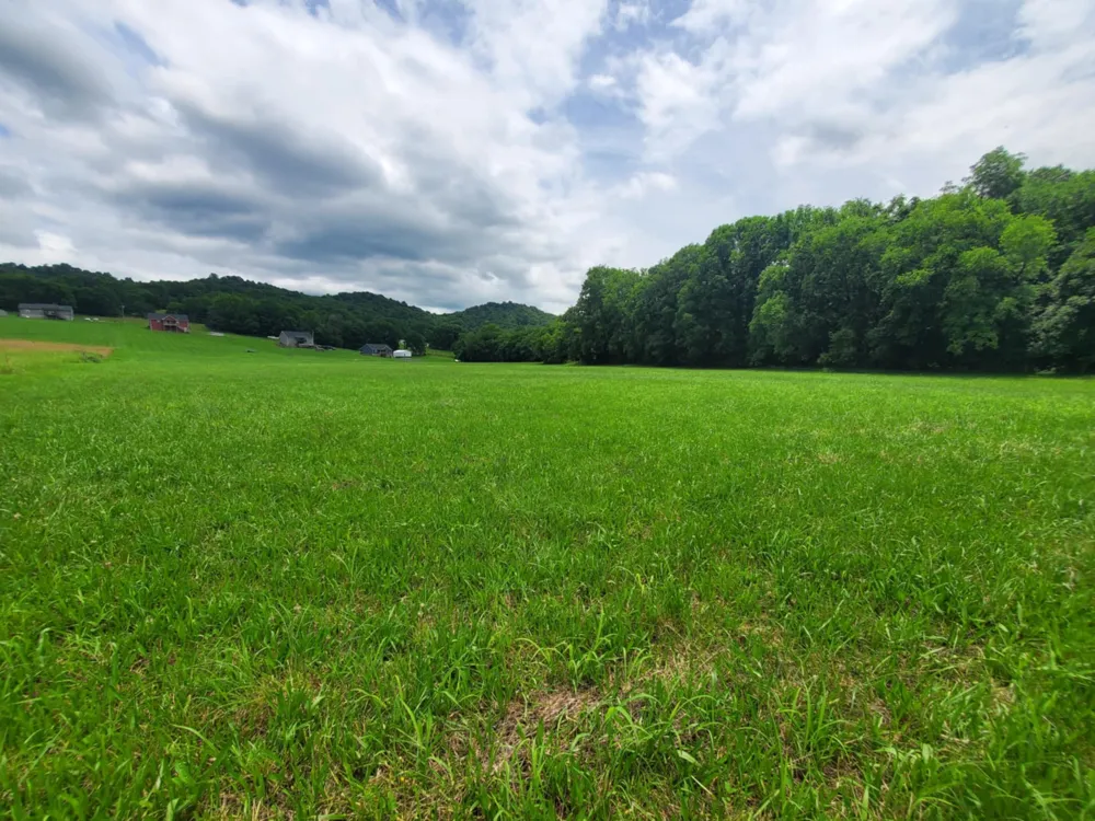 0 Plunkett Creek Rd Gordonsville, TN 38563