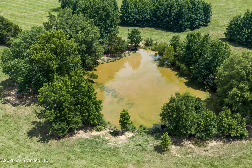 1000 Woolfolk Road Senatobia, MS 38668