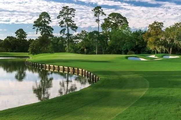 14007 Muirfield Village Drive Houston, TX 77069