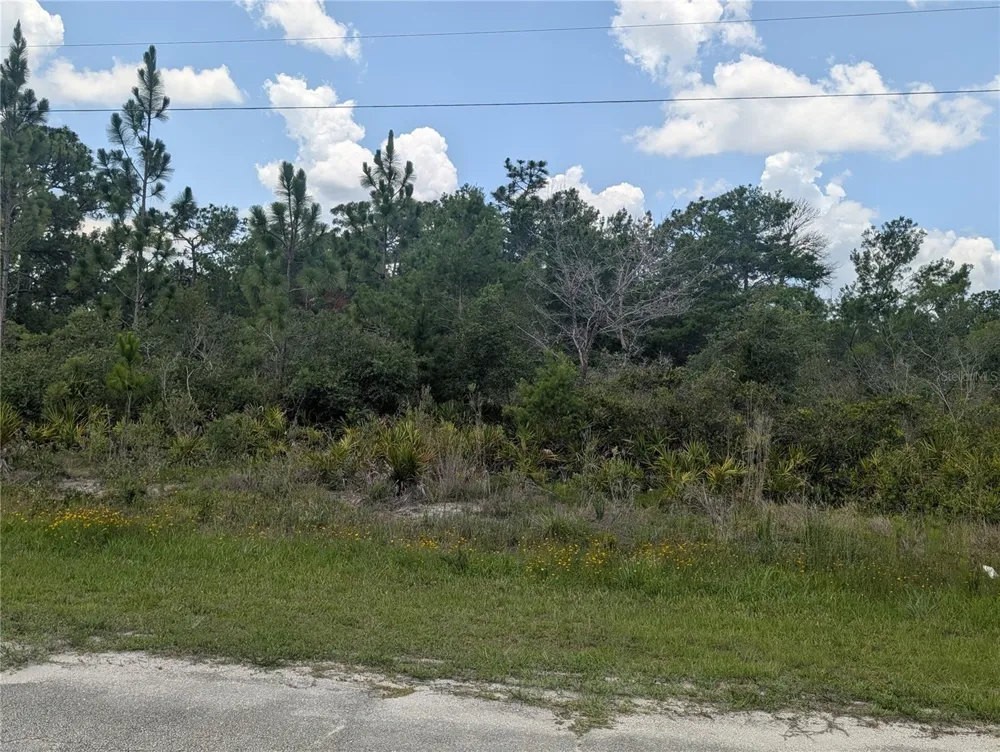 CORAL GABLES DRIVE Indian Lake Estates, FL 33855