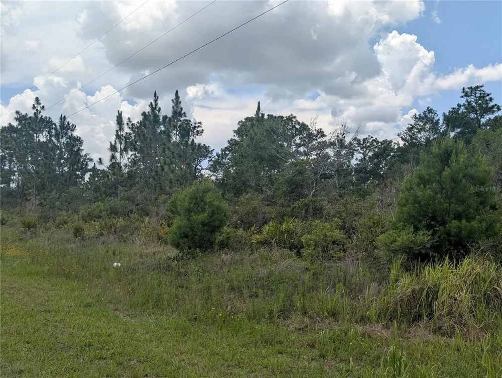 CORAL GABLES DRIVE Indian Lake Estates, FL 33855
