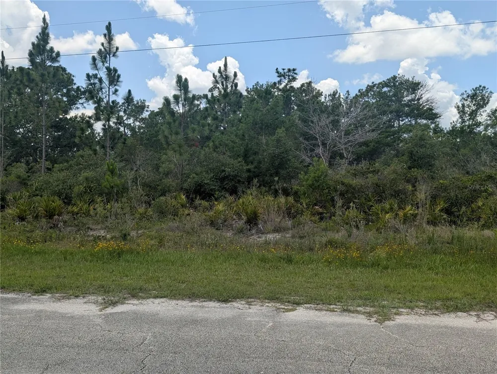 CORAL GABLES DRIVE Indian Lake Estates, FL 33855
