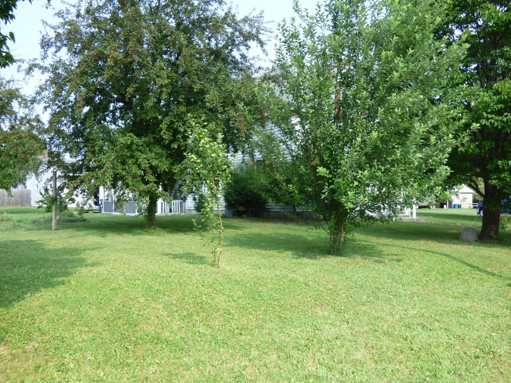 2 S Maple Avenue Le Center, MN 56057